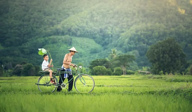 bicycle business